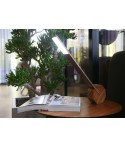 Lampe de Bureau LED
