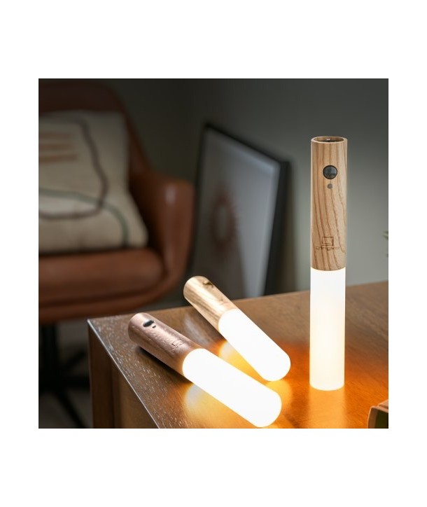 Smart Baton Light