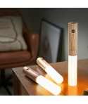Smart Baton Light