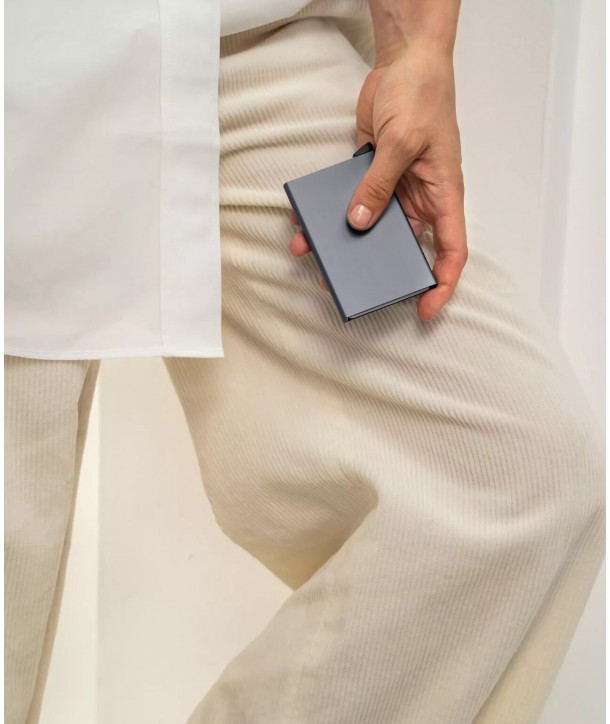 Porte-cartes Secrid C Titanium